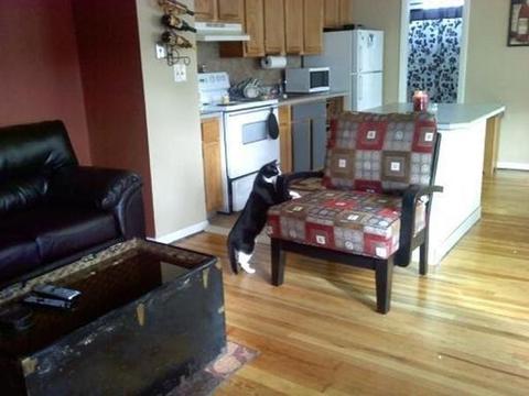 458 Grattan St, Chicopee, MA 01020 photo 6