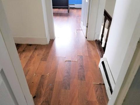 24 Cheney Pl, Lowell, MA 01851 photo 15