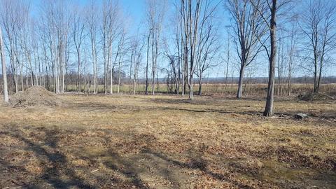 486 Main St, Hatfield, MA 01038 photo 4