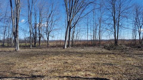 486 Main St, Hatfield, MA 01038 photo 6