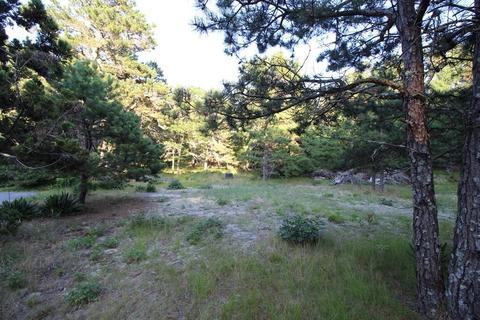 418 Putnam Ave, Barnstable, MA 02635 photo 6