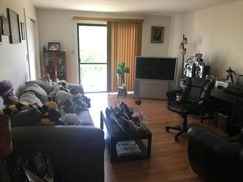 55 Chace St #D, Fall River, MA 02724 photo 4