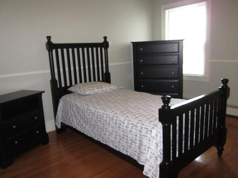 107 Gillette Ave, Springfield, MA 01118 photo 17