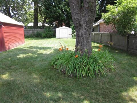 107 Gillette Ave, Springfield, MA 01118 photo 32