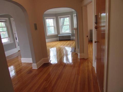 19 Hamilton Rd #5, Brookline, MA 02446 photo 3