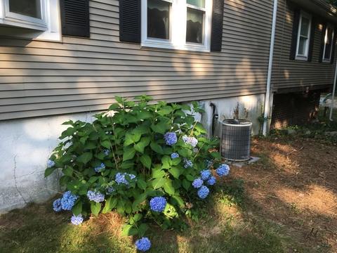 5 Morton St, Canton, MA 02021 photo 5