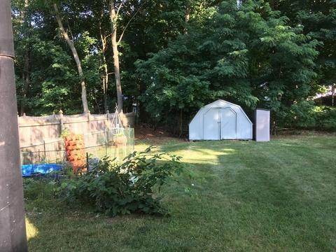 5 Morton St, Canton, MA 02021 photo 18