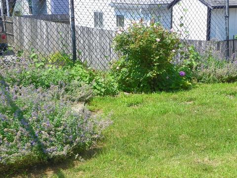 11 Taylor, Gloucester, MA 01930 photo 19