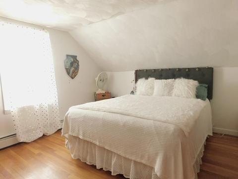 129 Brewster St, Springfield, MA 01119 photo 13