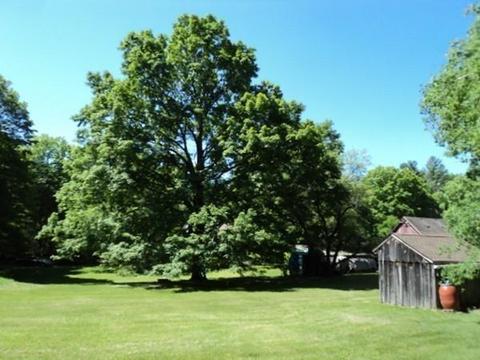 113 Webster, Douglas, MA 01516 photo 13