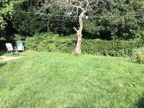 4 Wayside Rd, Worcester, MA 01605 photo 17