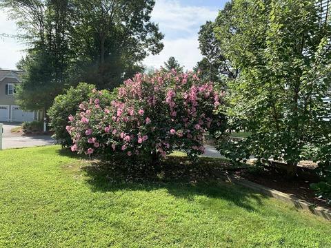 417 Old Post Rd, Walpole, MA 02081 photo 5
