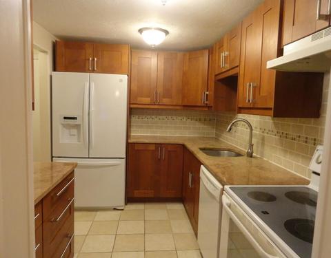 7 Elm St #4, Acton, MA 01720 photo 19