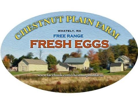 207 Chestnut Plain Rd, Whately, MA 01093 photo 34