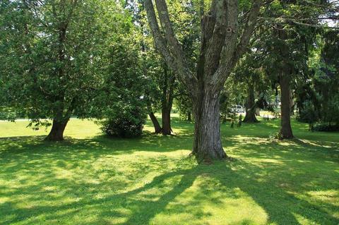 207 Chestnut Plain Rd, Whately, MA 01093 photo 36