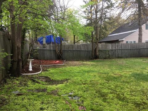 102 Fieldston St, Springfield, MA 01119 photo 18