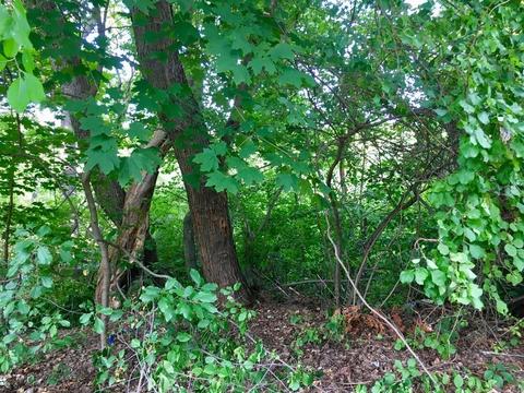 102 Fieldston St, Springfield, MA 01119 photo 3