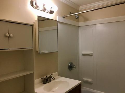 102 Fieldston St, Springfield, MA 01119 photo 15