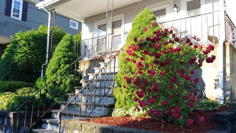 32 Freeman Ave, Everett, MA 02149 photo 1