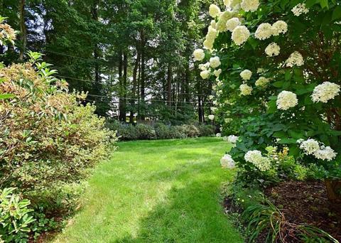 39 Saxon, Worcester, MA 01602 photo 35