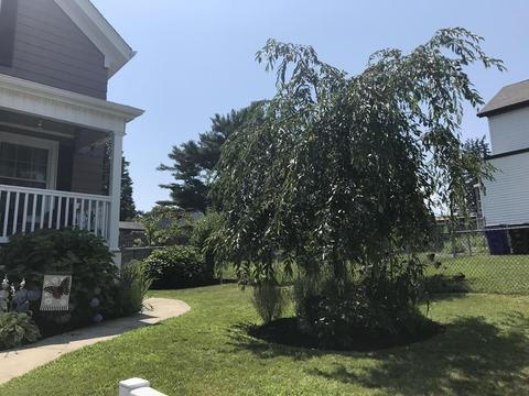 83 Bardsley St, Fall River, MA 02723 photo 5