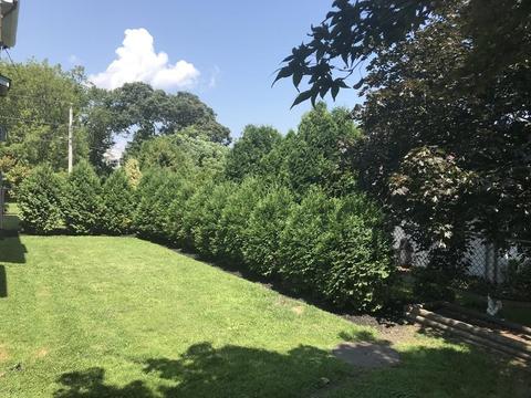 83 Bardsley St, Fall River, MA 02723 photo 26