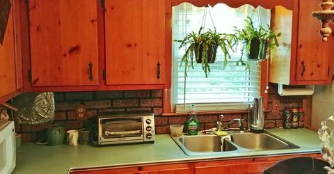 161 Lloyd Ave, Springfield, MA 01119 photo 7