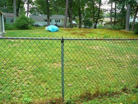 161 Lloyd Ave, Springfield, MA 01119 photo 22