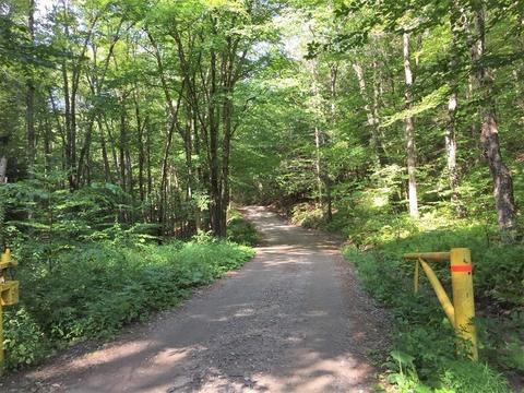 307 Bearsden Rd, Athol, MA 01331 photo 23