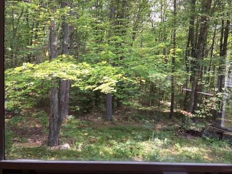 307 Bearsden Rd, Athol, MA 01331 photo 15