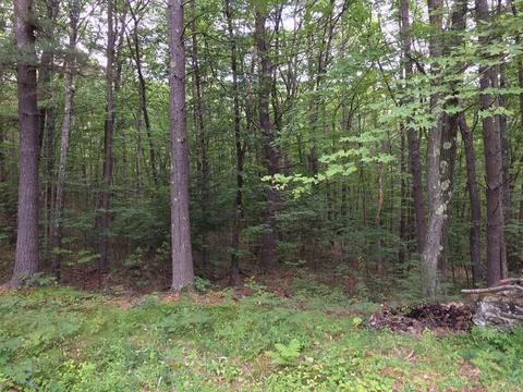 307 Bearsden Rd, Athol, MA 01331 photo 20