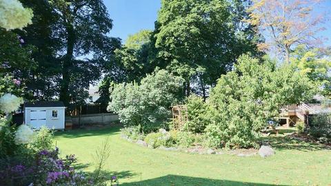 30 Maple St, Walpole, MA 02081 photo 29
