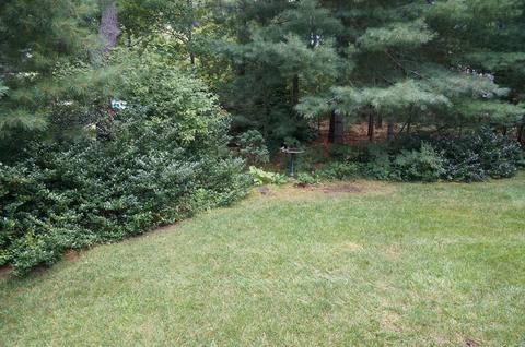 92 Nobadeer Rd, Centerville, MA 02632 photo 35