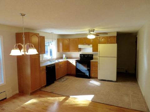 37 Francis St, Springfield, MA 01104 photo 10