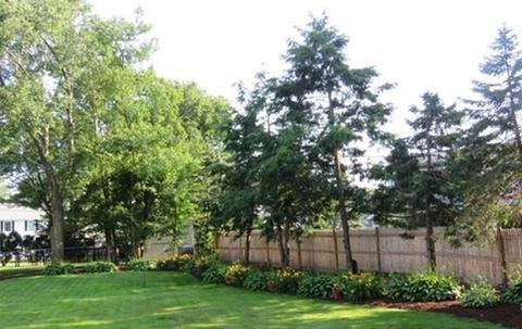 78 Indian Path, Dedham, MA 02026 photo 36