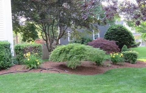 78 Indian Path, Dedham, MA 02026 photo 32