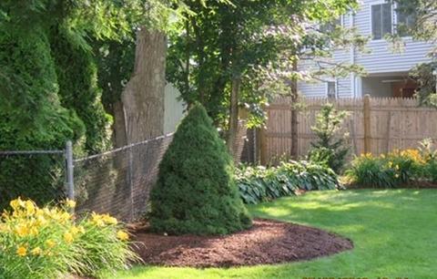78 Indian Path, Dedham, MA 02026 photo 38