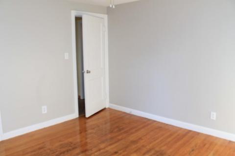 50 Eddy St, Springfield, MA 01104 photo 13