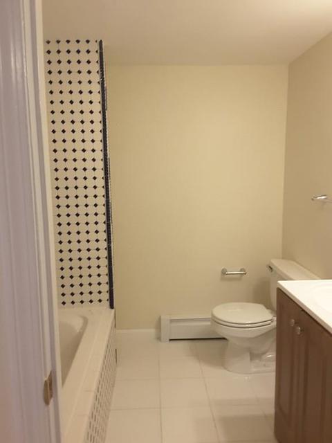 9 Paris Ave, Worcester, MA 01603 photo 21