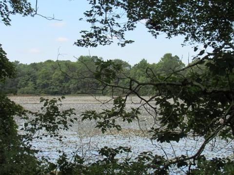111 Great Neck Rd, Wareham, MA 02571 photo 2