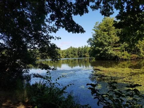 20 Breeze Dr, Worcester, MA 01602 photo 28