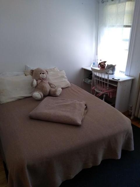 7 Roy St, Worcester, MA 01603 photo 11
