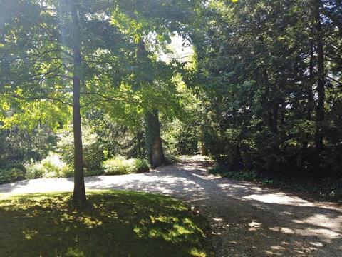 128 Rawson Rd, Brookline, MA 02445 photo 7