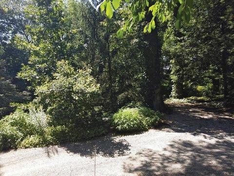 128 Rawson Rd, Brookline, MA 02445 photo 6