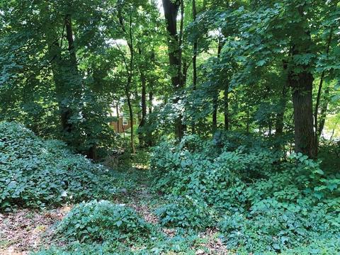 128 Rawson Rd, Brookline, MA 02445 photo 8