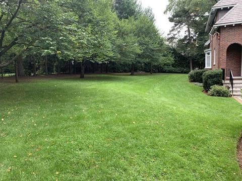 348 Buckminster Rd, Brookline, MA 02445 photo 20