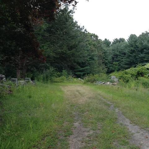 1688 Central Ave, Needham, MA 02492 photo 5