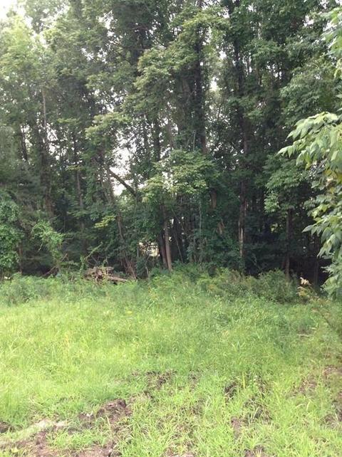 1688 Central Ave, Needham, MA 02492 photo 6