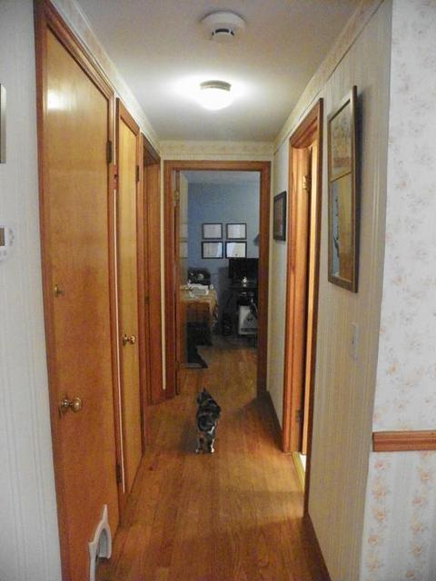 91 Larivee Ln, West Springfield, MA 01089 photo 17