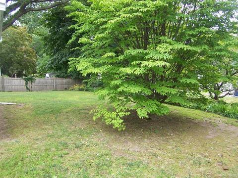 89 Beech St, Braintree, MA 02184 photo 12